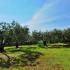 SUNDAY RESORT(Cozy Studios and Spacious Apartments), privatni smeštaj u mestu Halkidiki, Grčka - Photos Ground floor Apartments &amp; more 063